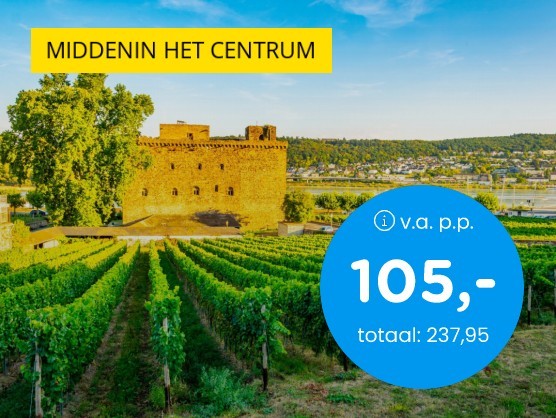 Wijnstad Rdesheim + halfpension