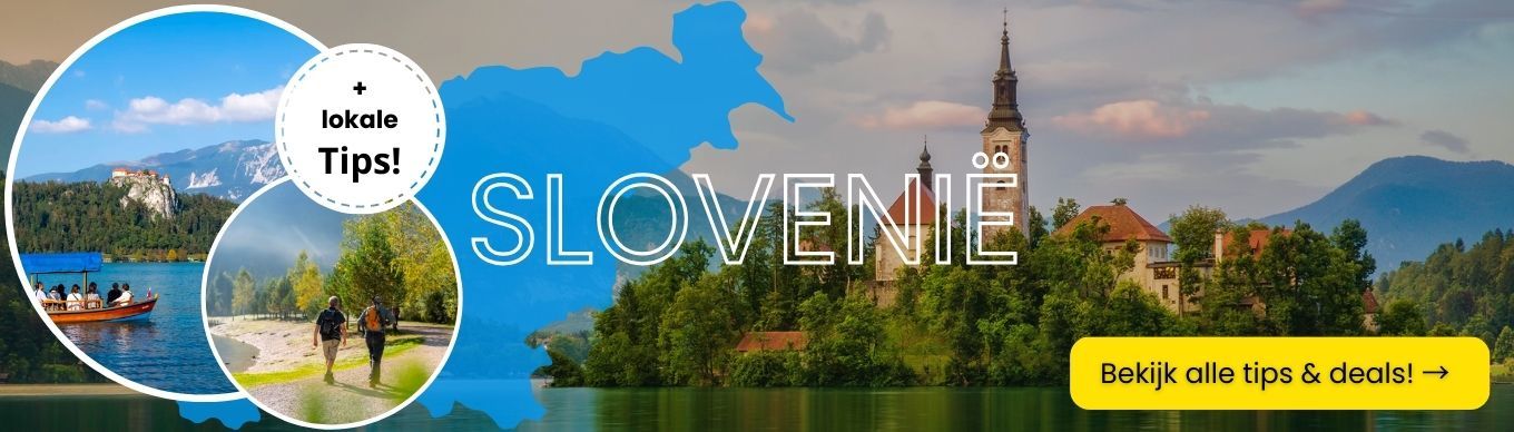 Sloveni